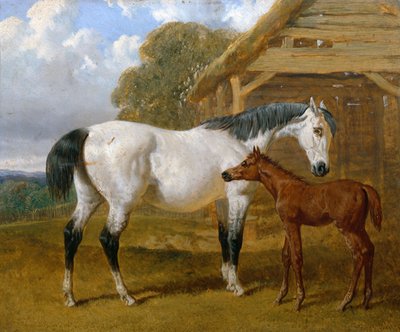 A Mare and Foal Before a Barn by John Frederick Herring Senior
