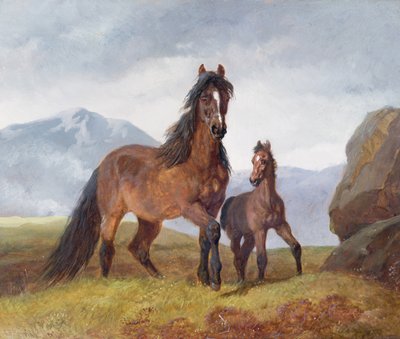 A Welsh Mountain Mare and Foal, 1854 by John Frederick Herring Senior