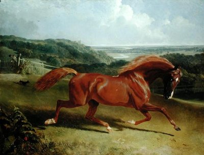 Galloping Horse in a Landscape by John Frederick Herring Senior