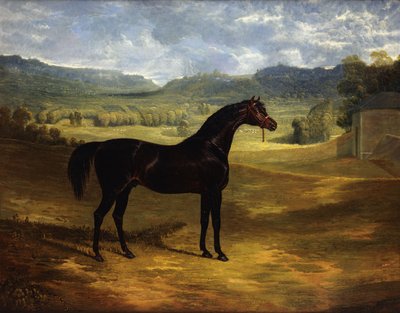Jack Spigot, a Dark Bay Racehorse in a Paddock at Bolton Hall, 1824 by John Frederick Herring Senior
