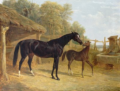 Levity, the Property of J.C. Cockerill Esq., with Her Foal Queen Elizabeth, the Property of Lord Dorchester, 1843 by John Frederick Herring Senior