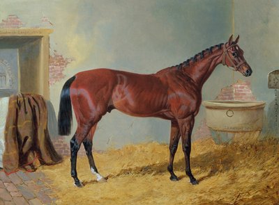 Mr S. Wrather