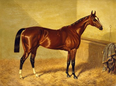 Orlando, a Bay Racehorse in a Loosebox by John Frederick Herring Senior