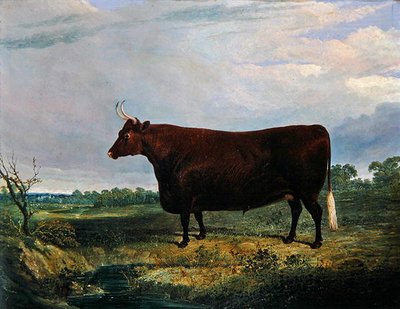 Portrait of a Brown Bull by John Frederick Herring Senior