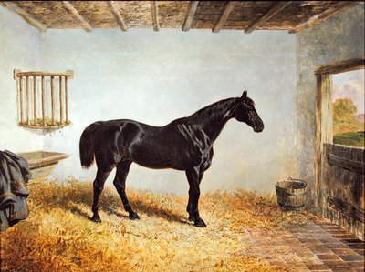 Portrait of a Stallion Standing in a Stable by John Frederick Herring Senior