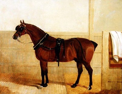 Prize Shire Horse in Harness by John Frederick Herring Senior