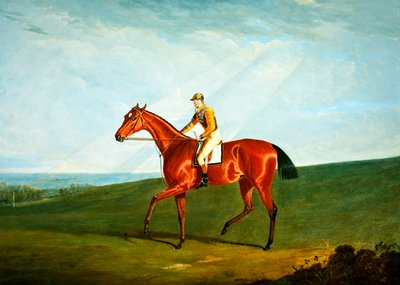 Ringlet with J. Jackson Up, c.1823 by John Frederick Herring Senior