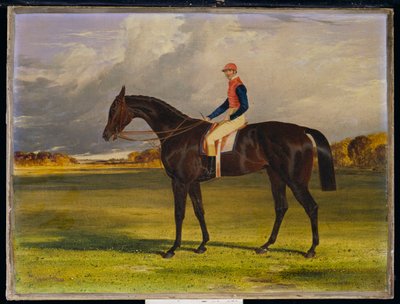 The Earl of Chesterfield