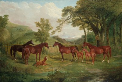 The Streatlam Stud, Mares and Foals by John Frederick Herring Senior