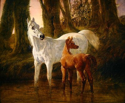 Dare and Foal Startled While Watering in a Stream by John Frederick Herring Senior
