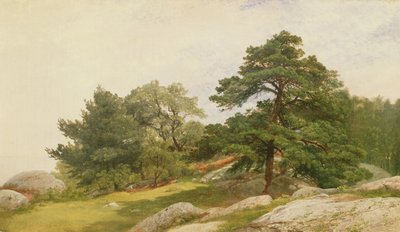 Study for Trees on Beverly Coast by John Frederick Kensett