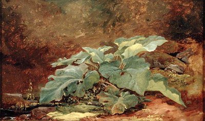 Study of a Burdock Plant by John Frederick Kensett