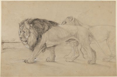 Lions by John Frederick Lewis