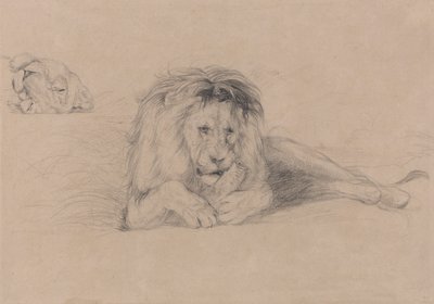 Study of a Lion and Study of a Lioness