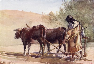 Ploughing on the Mount of Olives by John Fulleylove