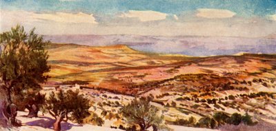 The Fields of Ruth and Boaz Near Bethlehem, 1902 by John Fulleylove