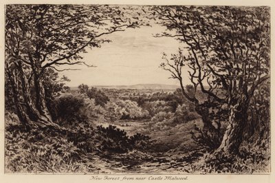 New Forest from near Castle Malwood by John Fullwood