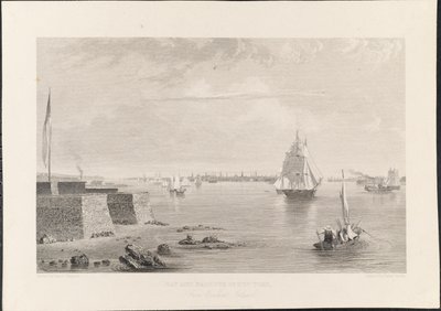 Bay and Harbour of New York from Bedlon