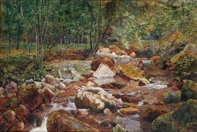 A Rocky Stream Overhung with Trees by John George Sowerby