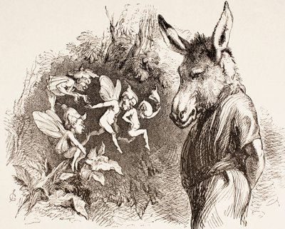 Illustration for A Midsummer Night