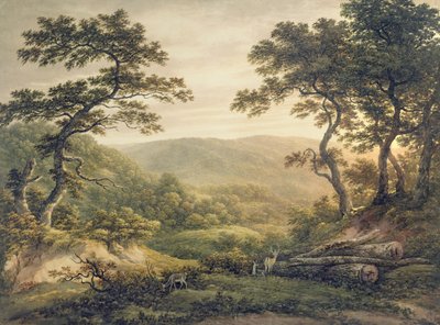 Needlewood Forest, Hampshire by John Glover