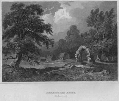 Newminster Abbey, Northumberland by John Greig