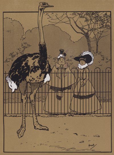 Ostrich Feathers by John Hassall