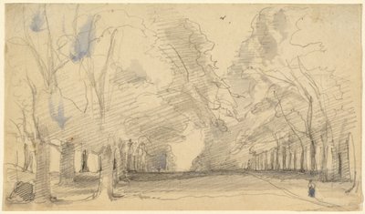 Avenue of Trees by John Hayter