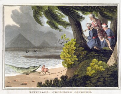 Egyptians Crocodile Catching, Engraved by Matthew Dubourg, Published by Edward Orme by John Heaviside (after) Clark