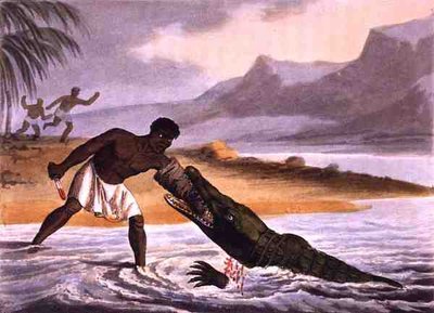 The African Crocodile Hunters, engraved by Matthew Dubourg, published by Edward Orme by John Heaviside (after) Clark