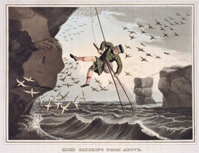 Bird Catching from Above, Engraved by Matthew Dubourg, Published by Edward Orme, 1813 by John Heaviside Clark