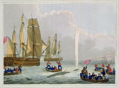 Boats Approaching a Whale, engraved by Matthew Dubourg, published by Edward Orme by John Heaviside Clark