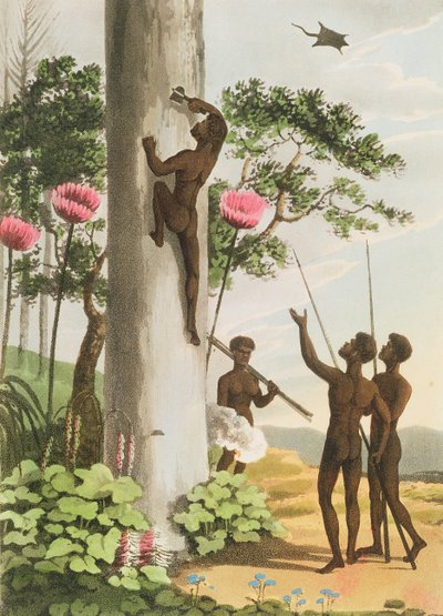 Climbing Trees, aborigines in New South Wales engraved by Matthew Dubourg by John Heaviside Clark