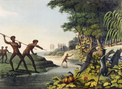 Hunting the Kangaroo, aborigines in New South Wales engraved by Matthew Dubourg by John Heaviside Clark