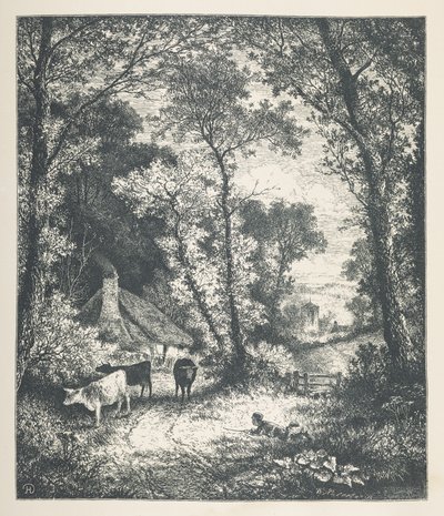 Plate 21. Cattle, from 