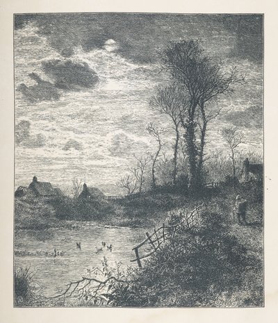 A pond, from 