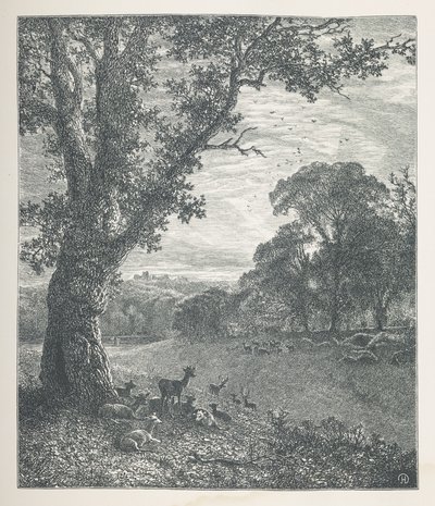 Deer around a tree (Nature Pictures) by John Henry Dell