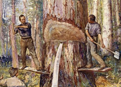 Lumbermen Cutting Timber by John Henry Frederick (after) Bacon