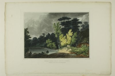 Spirit Creek; Near Augusta, Georgia, plate two of the second number of Picturesque Views of American Scenery by John Hill