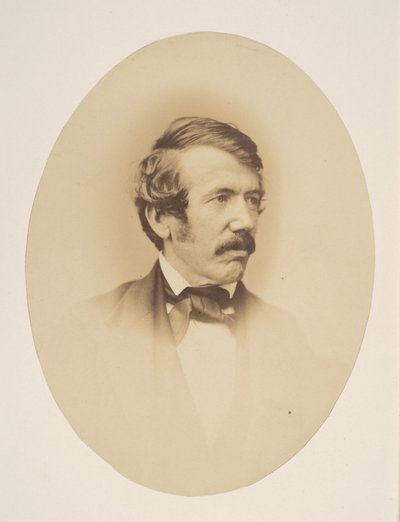 Dr. Livingstone by John Jabez Edwin Mayall