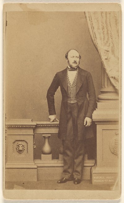 Prince Albert by John Jabez Edwin Mayall