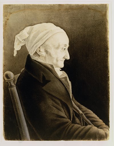 Henri De Gallon by John James Audubon