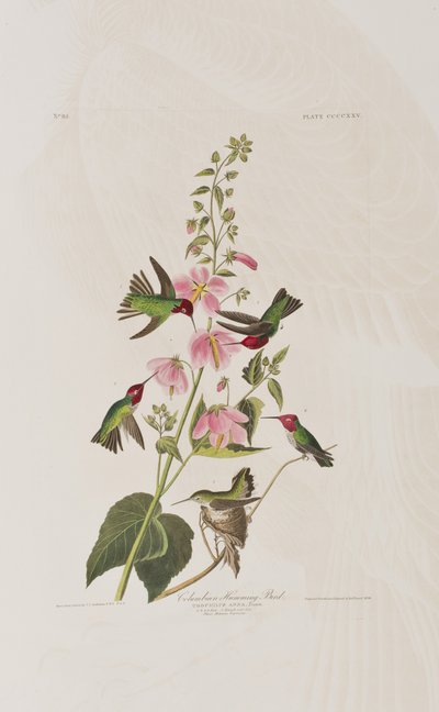 Illustration from 