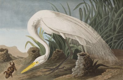 Illustration from 