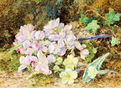Almond Blossoms and Primroses, 1868 by John Jesson Hardwick