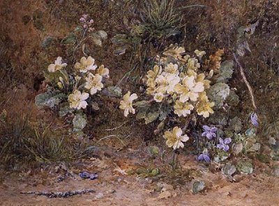 Primroses and Violets on a Mossy Bank by John Jessop Hardwick