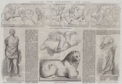 Sculptures from Halicarnassus and Cnidus by John Jessop Hardwick