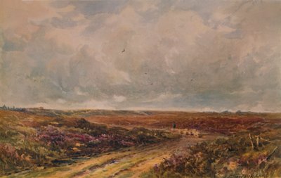 Stormy Day on a Surrey Common by John Jessop Hardwick