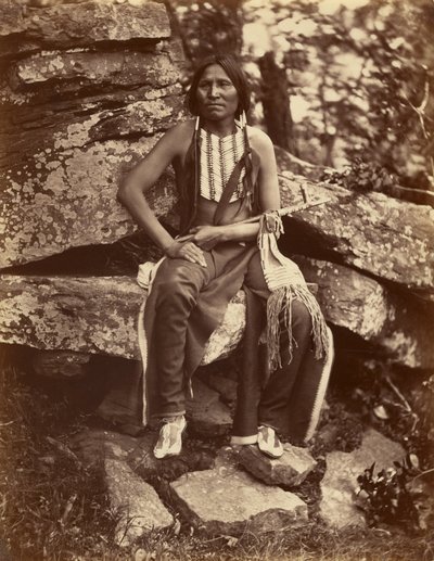 [Little Bear, Cheyenne] by John K. Hillers