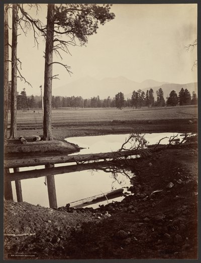 San Francisco Mountains, Arizona by John K. Hillers